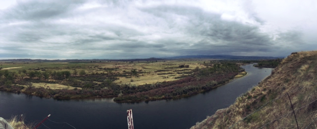 greycliffs