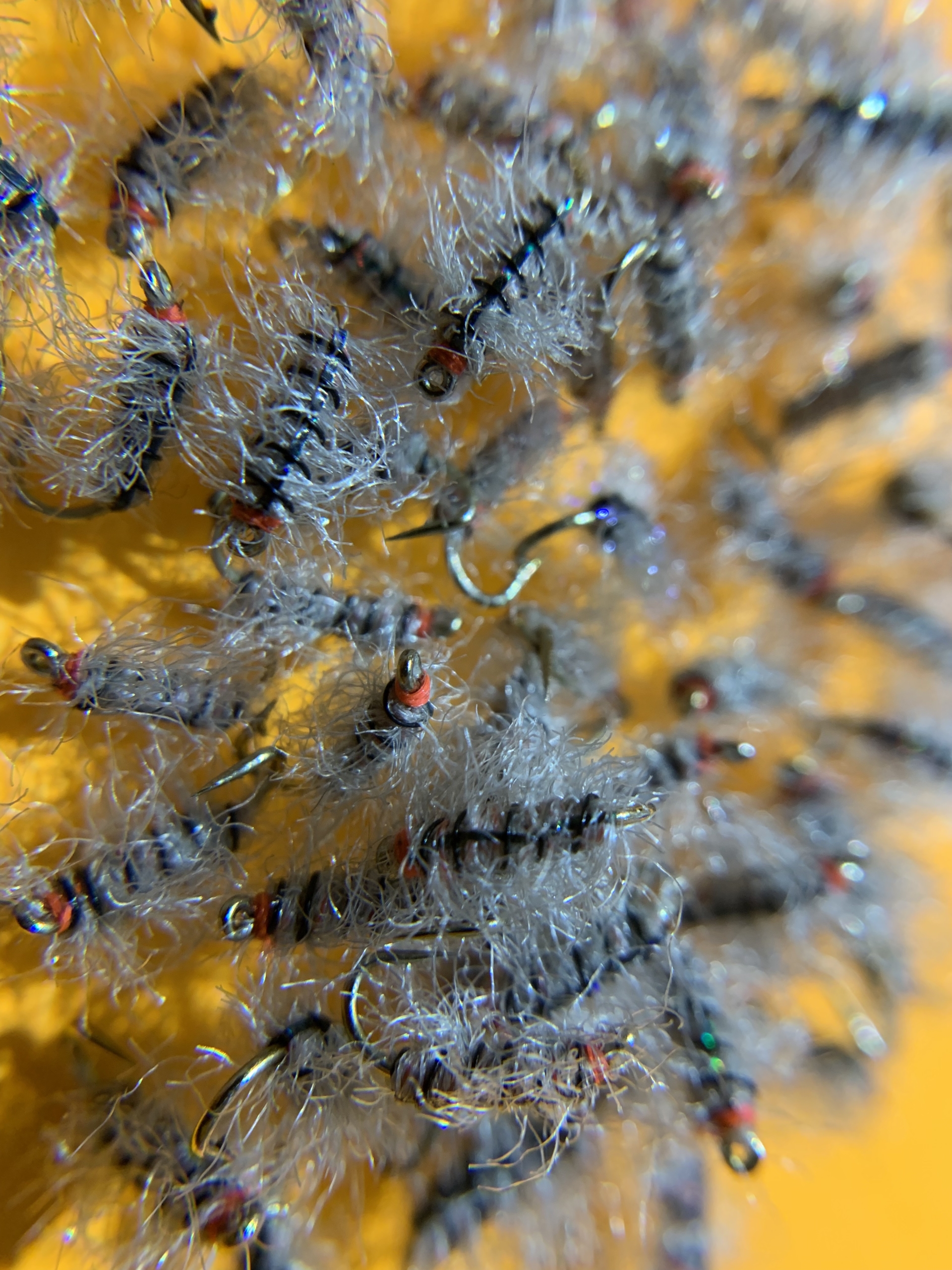 How to Tie the Carpet Bug Fly Pattern - Trident Fly Fishing