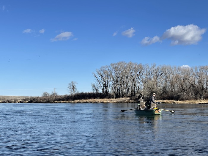 Bighorn River Fishing Update November 19, 2021 - Bighorn Angler